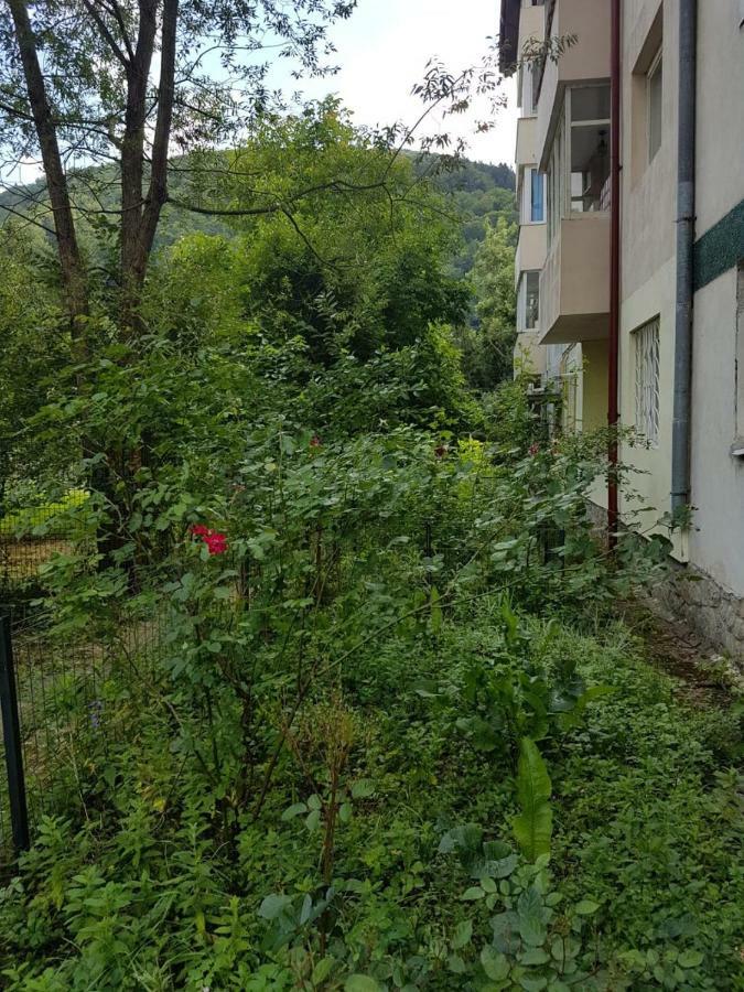 Premium Apartment Sinaia Dış mekan fotoğraf